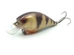 Gold Perch 9cm